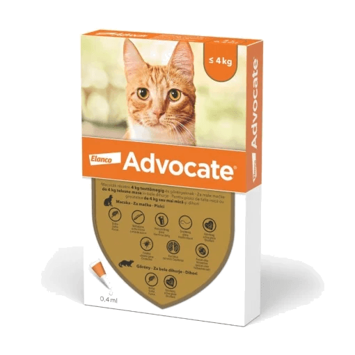 Advocate Cat