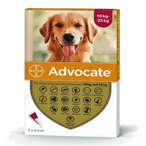 Advocate Dog