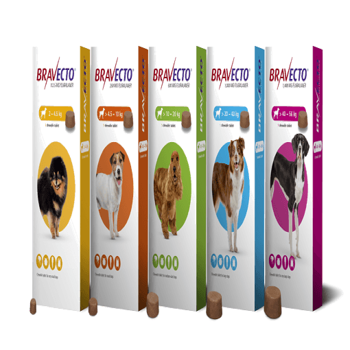 Bravecto Dog