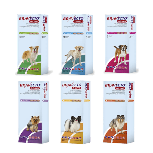Bravecto TriUno Dog