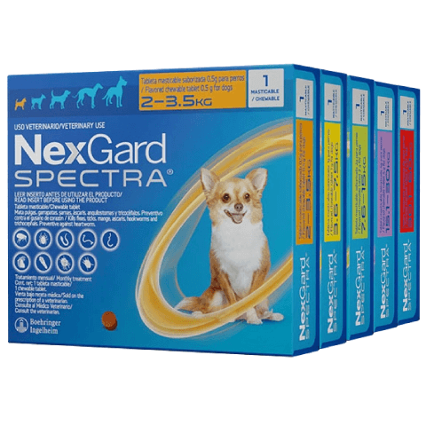 NexGard Spectra Dog