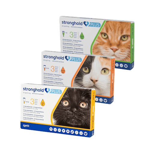 Stronghold Plus Cat